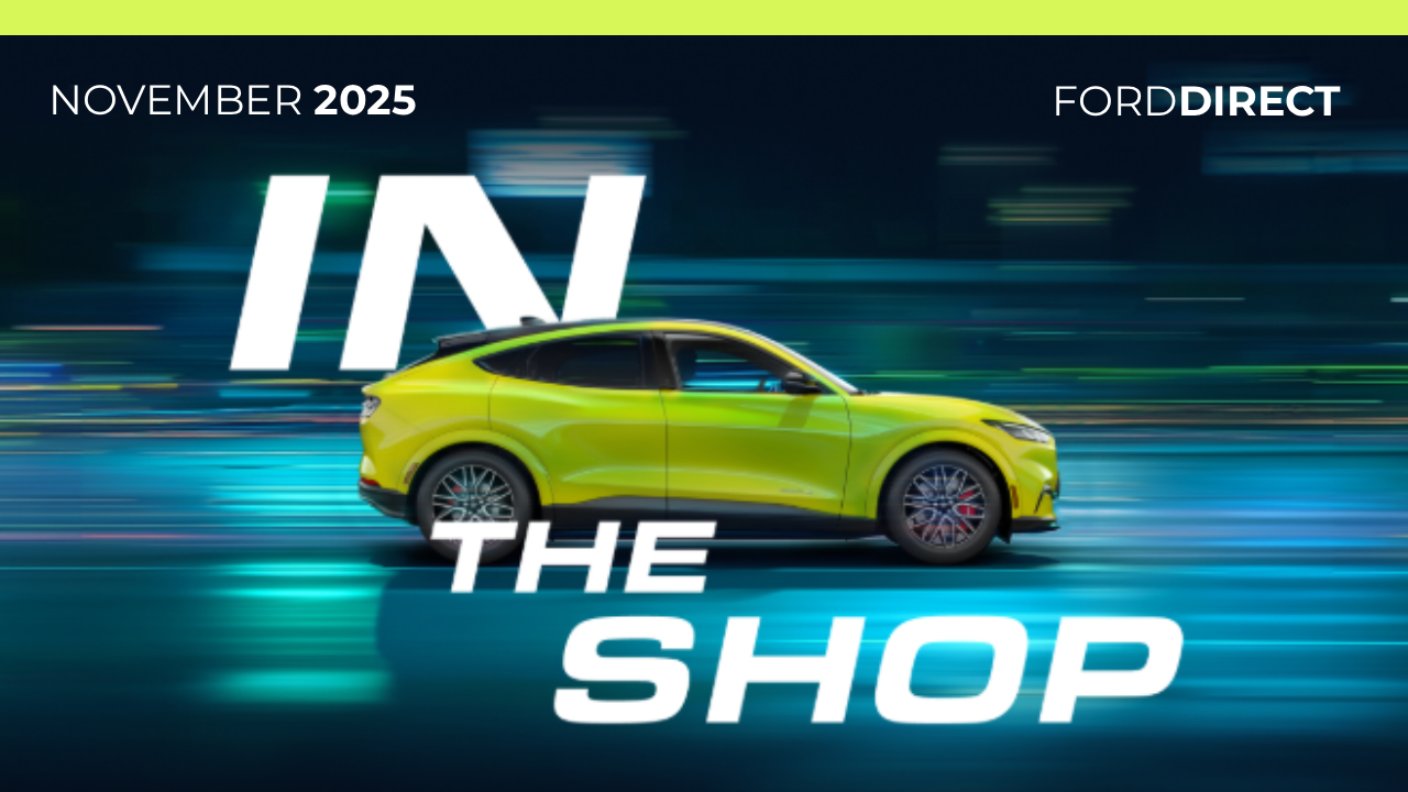 November 2025 Newsletter